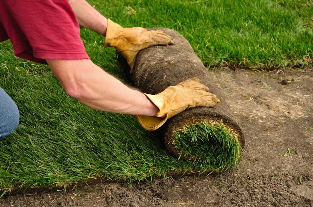 Искусственный газон - искусственная трава на даче