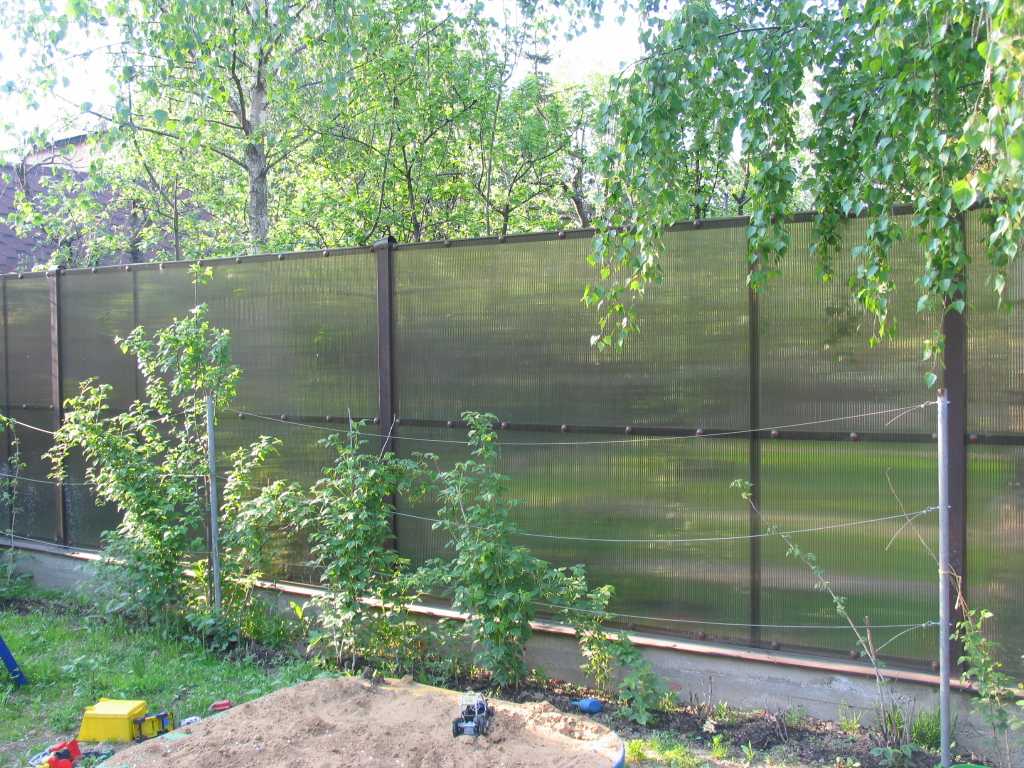 Можно ставить глухой забор. Прозрачный забор. Прозрачный забор на даче. Забор между участками. Забор между соседями.