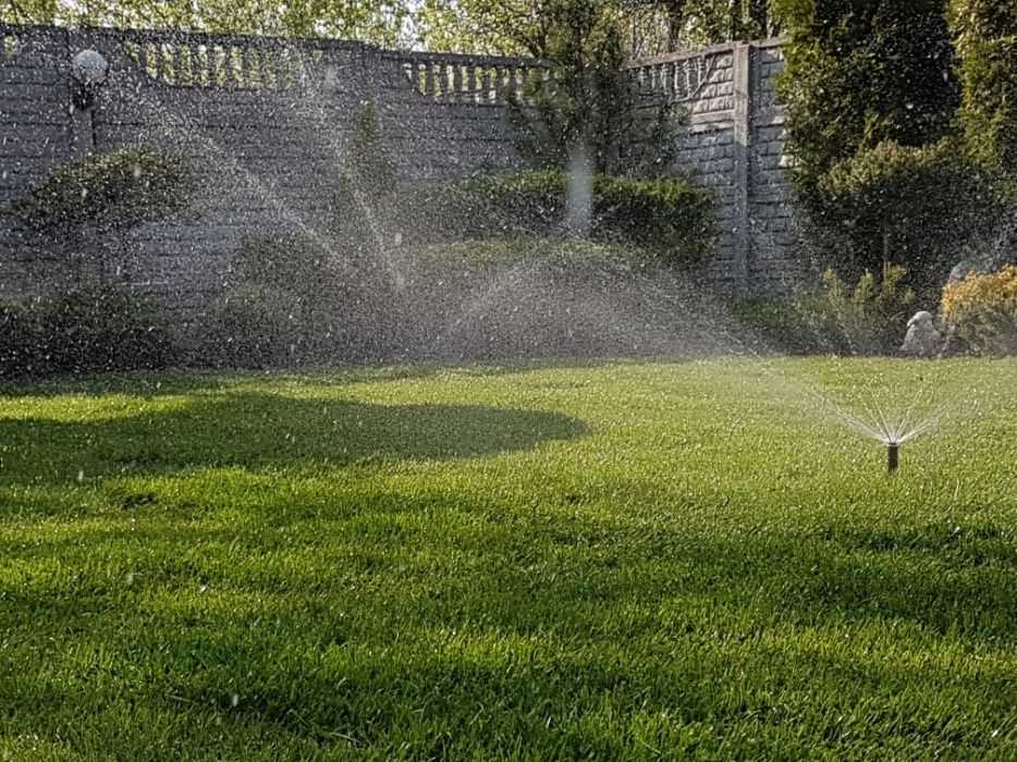 Как правильно поливать газон?