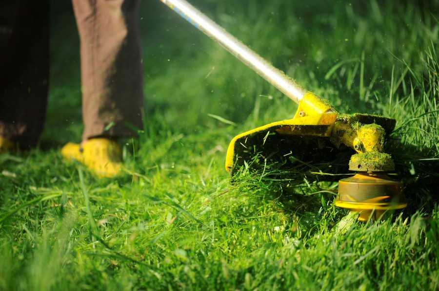 Можно ли косить мокрую траву? использование электрической и бензиновой газонокосилок, а также триммера после дождя для стрижки газона