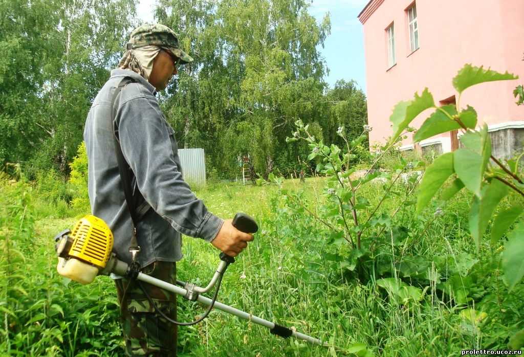Неравный бой: как победить сорняки на дачном участке без химии