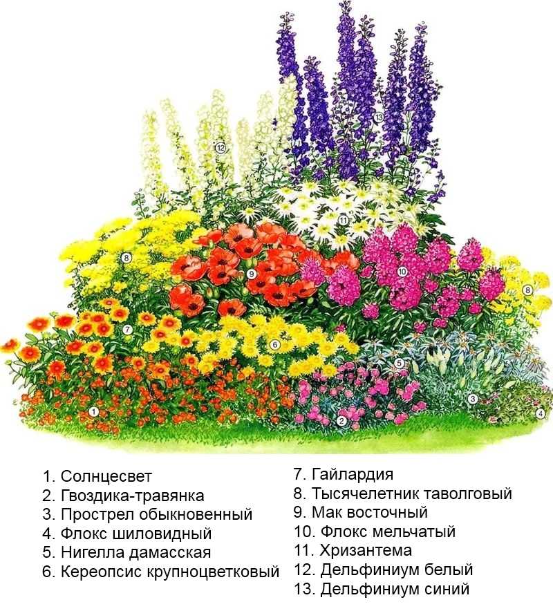 Цветник (82 фото):что это такое, клумба на даче и в саду частного дома, красивые варианты из многолетников непрерывного цветения