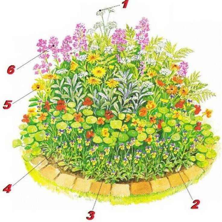 Клумбы из многолетников (86 фото): красивые схемы посадки растений непрерывного цветения своими руками на даче