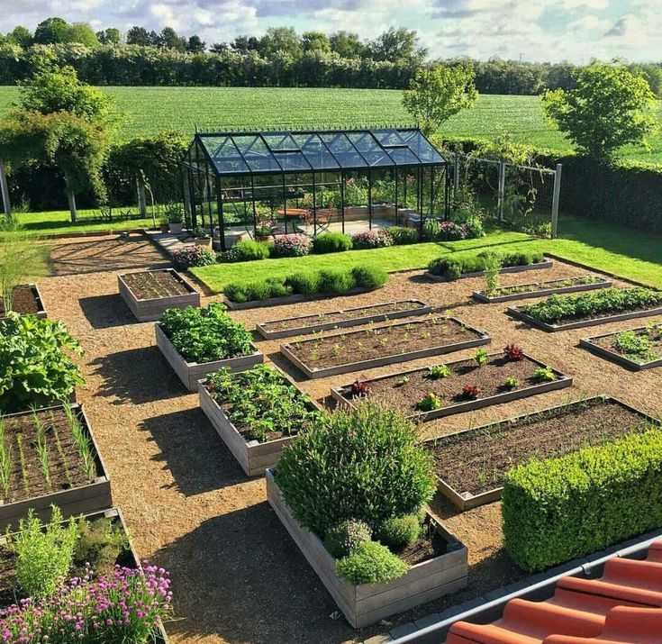 Красивый огород своими руками: 100 современных вариантов дизайна