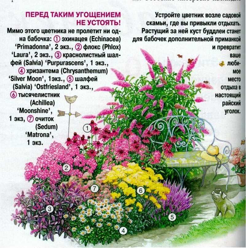 Осенние цветы: названия, сорта, описание, картинка посадки, как создать цветник, какие растения использовать, выращивание, уход осенью (20 фото)