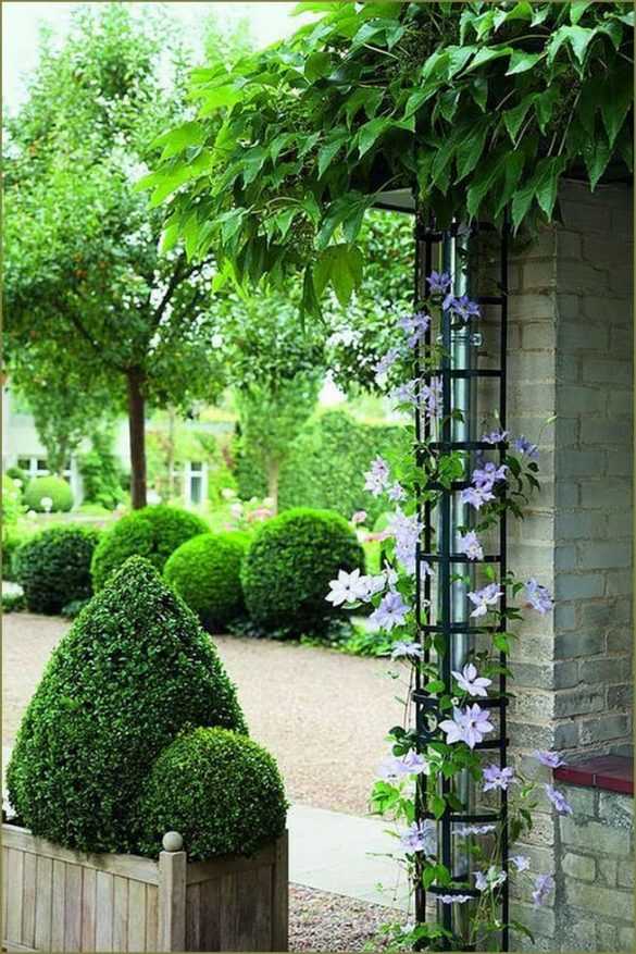 Шпалера своими руками - 110 фото стильных украшений сада и вертикальных вариантов озеленения