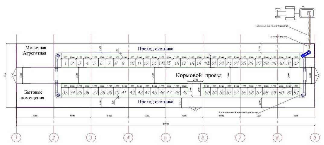 План коровника на 100 голов