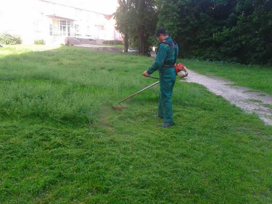 Чем быстро скосить траву на даче: подручные средства и техника для стрижки травы