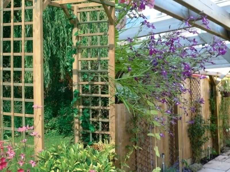 Как изготовить красивые садовые шпалеры для вьющихся растений своими руками: разновидности, материалы, советы по изготовлению