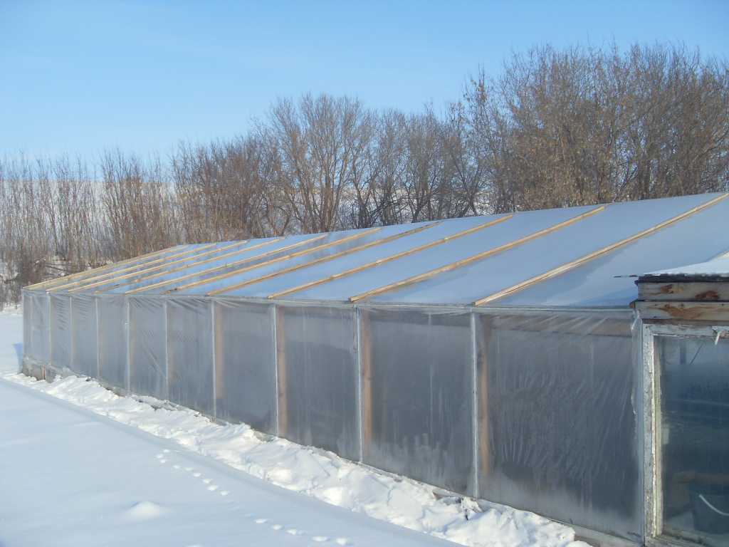 Зимние теплицы (56 фото): как сделать своими руками конструкции с отоплением, варианты для выращивания овощей круглый год, круглогодичные теплицы