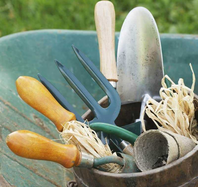 Садовые инструменты для сада и огорода, как выбрать