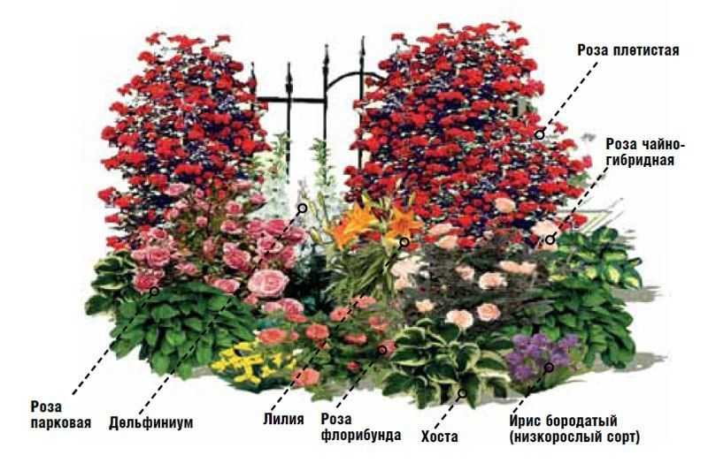 Все виды цветников, список с фото – rehouz