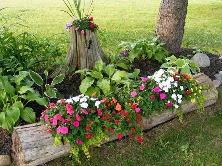 Растения и цветы для ландшафтного дизайна с названиями
 - 30 фото