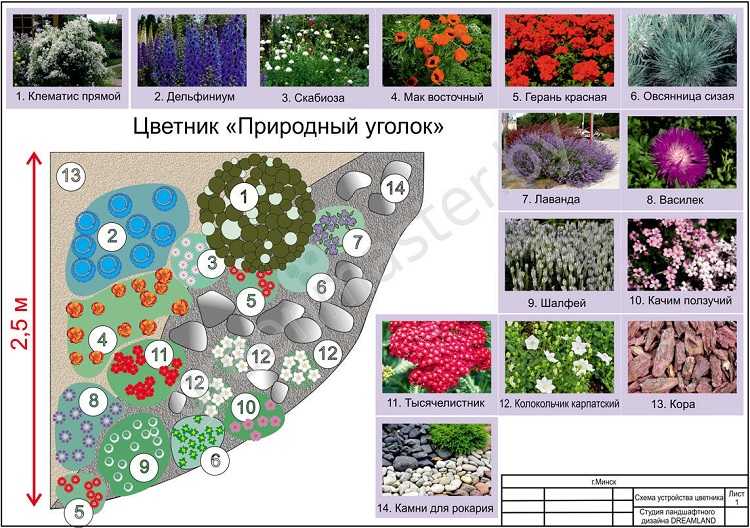 Клумбы из многолетников - 70 фото схем посадки и особенности непрерывного цветения