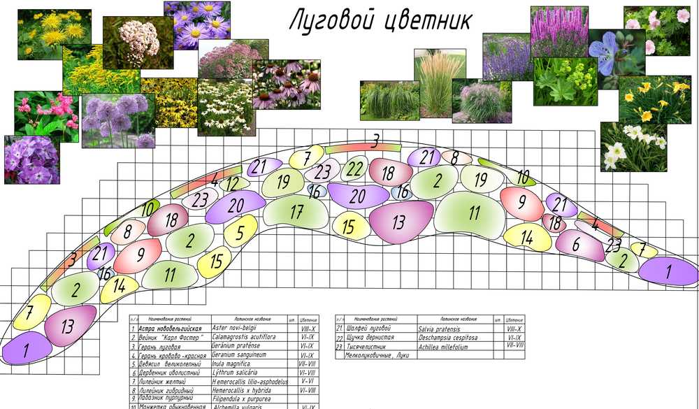 Цветник непрерывного цветения из многолетников: примеры, схемы, цветы, создать постоянно цветущую клумбу на весь сезон