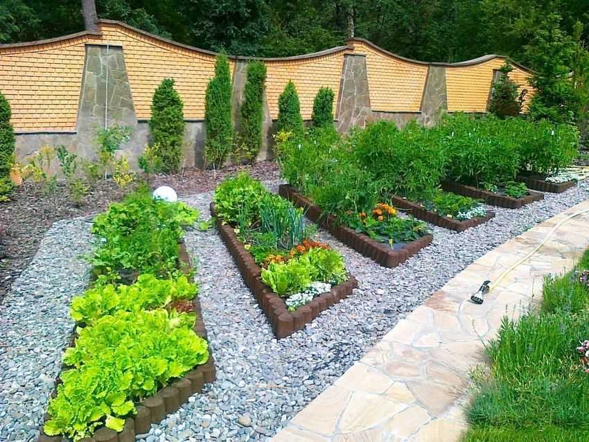 Дизайн садового участка площадью 6 соток своими руками (71 фото): ландшафтный дизайн дачного участка с грядками, как правильно посадить растения в огород